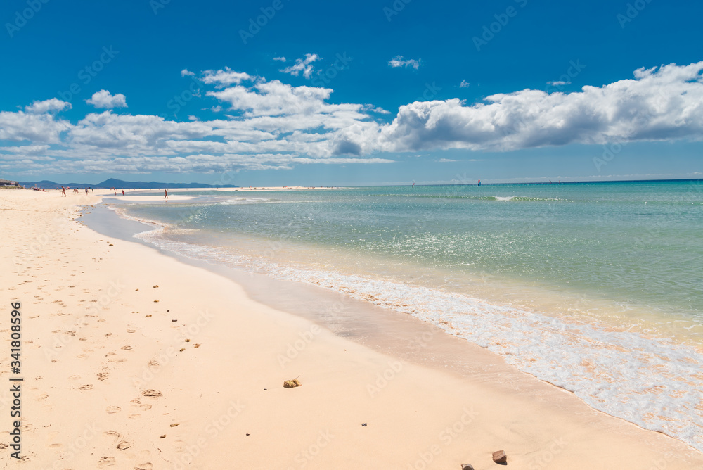 Fototapeta premium fuerteventura island Canaries