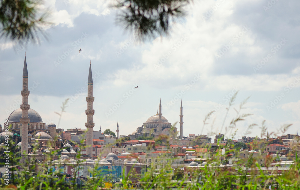 Fototapeta premium Tourist pleasure boats on pier in Golden Horn Bay. View of famous Hagia (Aya) Sofia Museum and the New Mosque. Popular tourist destination. Turkey, Istanbul, Bosphorus