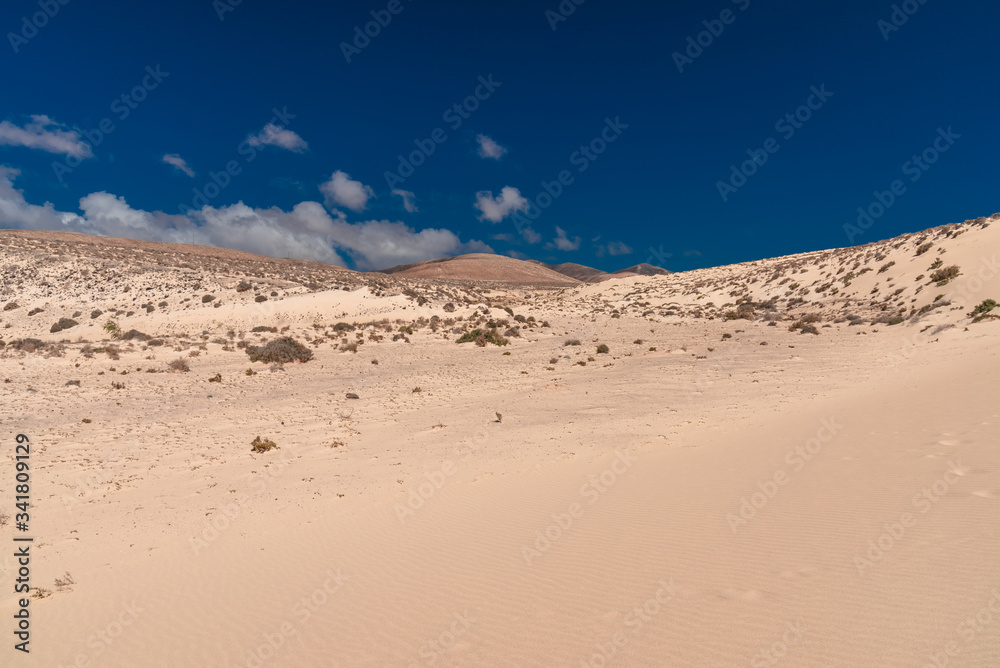 fuerteventura island Canaries fuerteventura island Canaries