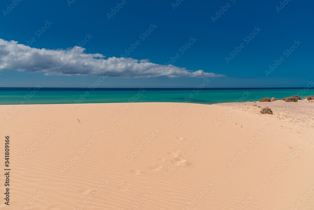 fuerteventura island Canaries