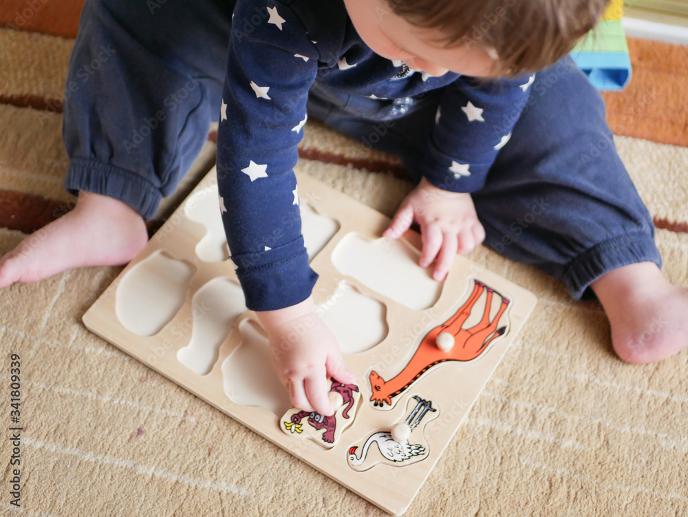 A child plays a game developing motor skills. the child remembers the types of animals A child plays a game developing motor skills. the child remembers the types of animals