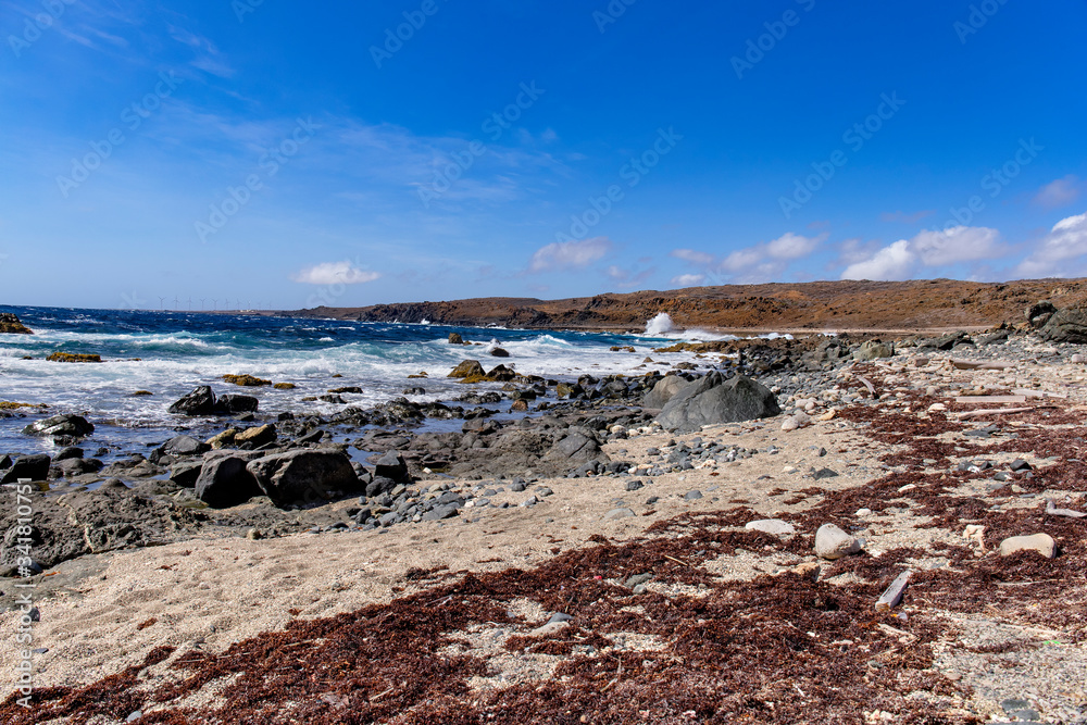 The Arubian coastline at the beach The Arubian coastline at the beach