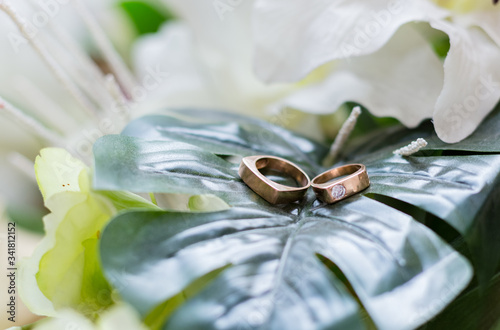 wedding rings on a flower
