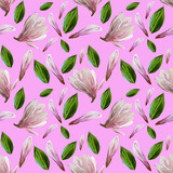 Seamless pattern with blooming magnolia flowers and leaves. Watercolor illustration. Pattern on isolated pink dark background for your design, wrapping paper, fabric, background