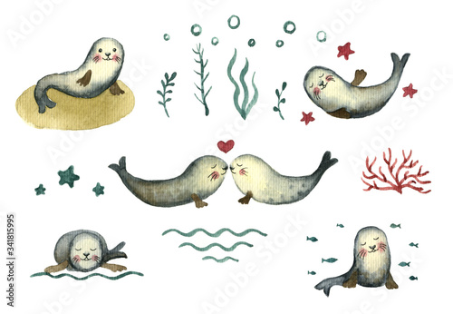 Watercolor set with cute grey seals