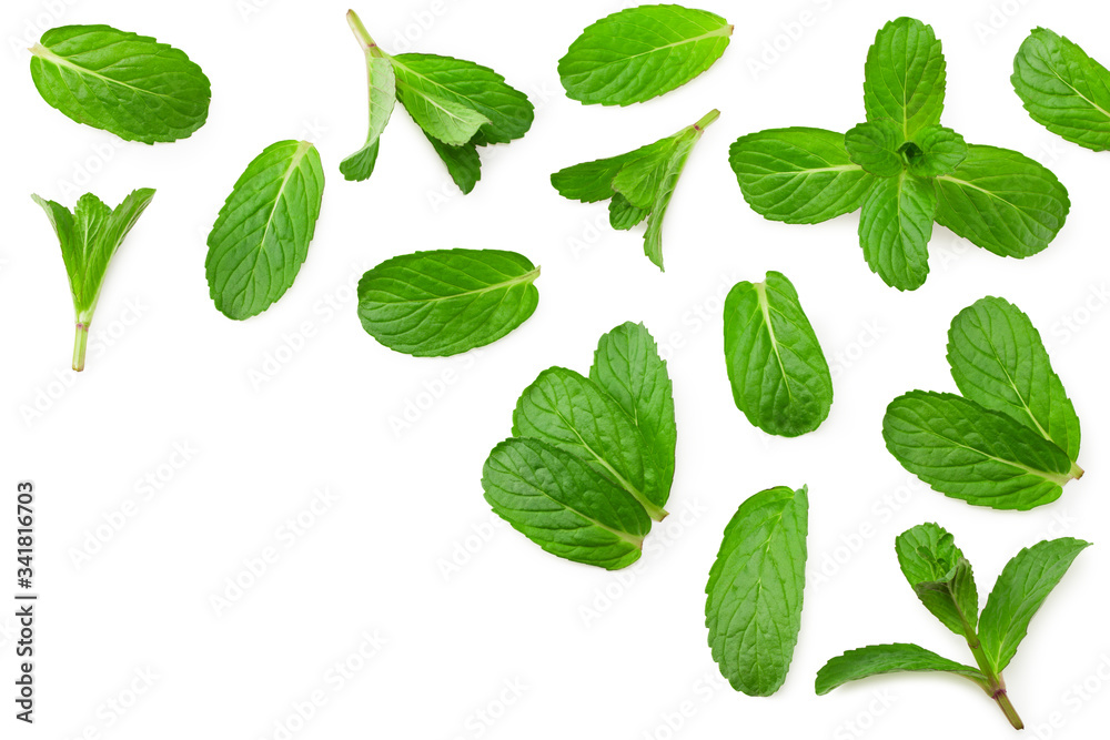 Fresh mint leaves isolated on white background. top view Fresh mint leaves isolated on white background. top view