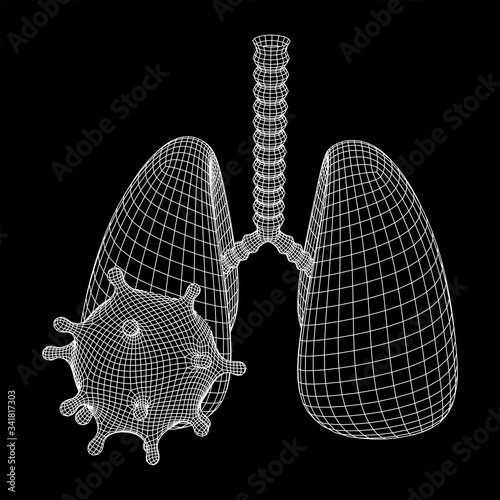 Corona Virus and Lungs with trachea bronchi internal organ human. Covid virus pulmonology medicine science concept. Wireframe low poly mesh vector illustration.