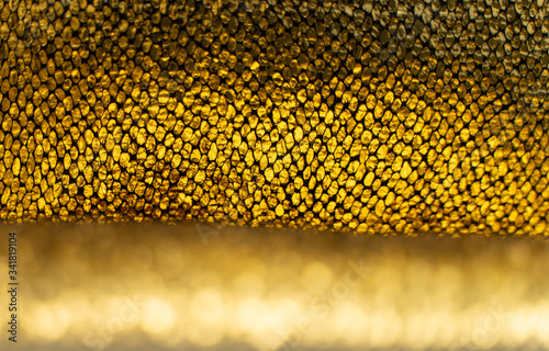 Beautiful gold scale
