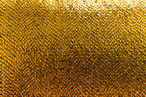 Beautiful gold scale