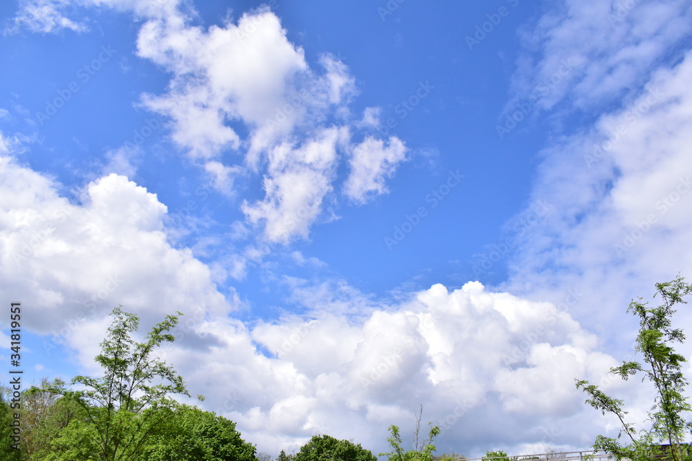 Obraz premium Große Schäfchenwolke