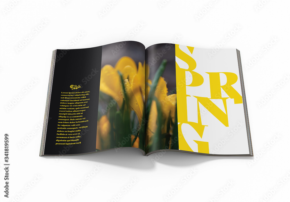 Magazine Mockup Stock Template | Adobe Stock