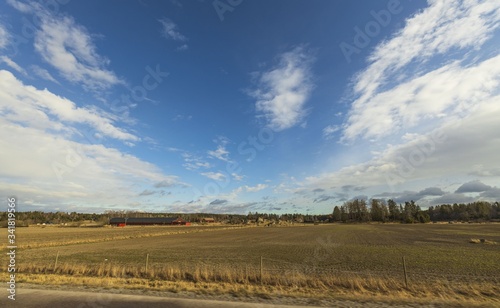 Beautiful landscape view with fields  forest trees and blue sky with white clouds. Gorgeous spring backgrounds. Sweden.