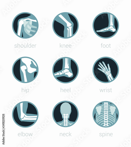 Anatomy Icon Rehabilitation Spine Neck Elbow Wrist Heel Hip Foot Knee Shoulder