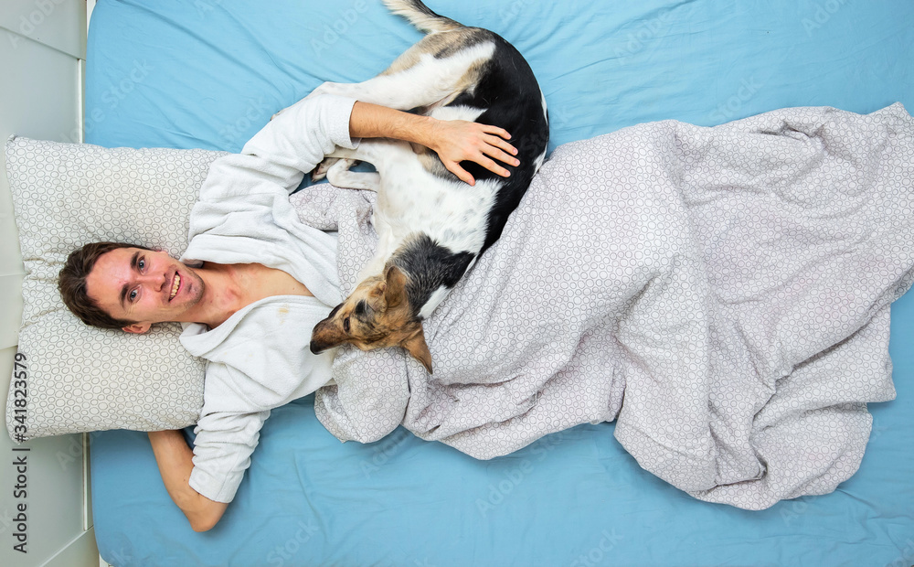 Shepherd dog lying on male at home Shepherd dog lying on male at home