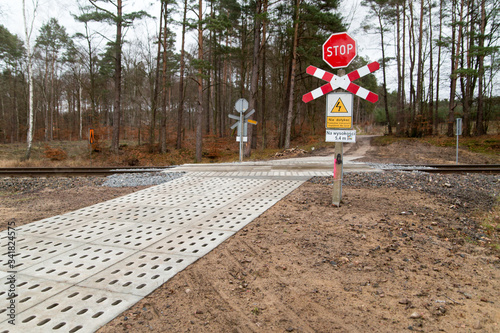 Obraz na plátně level crossing in a forest