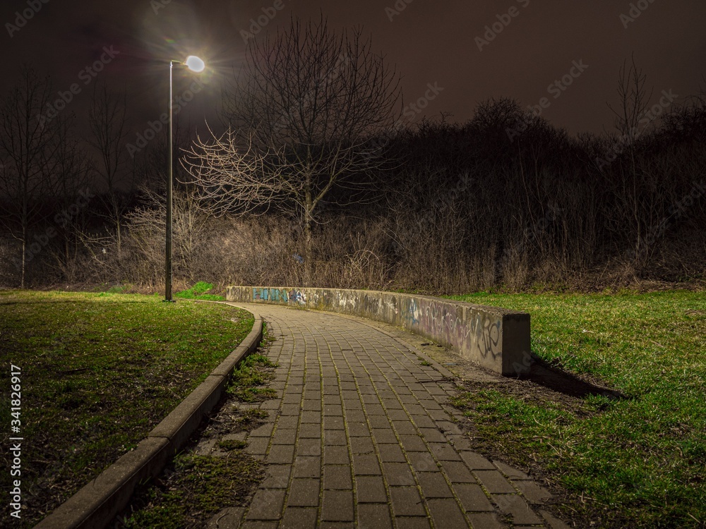 park in the night lamp
