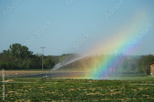 Weizenfeld wird mit Sprinkler bew  ssert und Regenbogen gebildet.