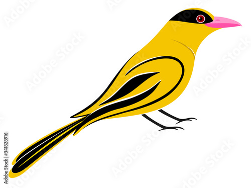 Black Naped Oriole
