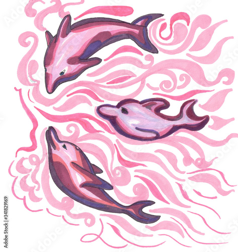 pink dolphins in a pink water photo