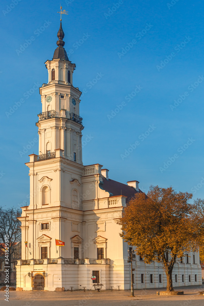 Obraz premium Kaunas, Lithuania, November 3, 2014. City hall in Kaunas