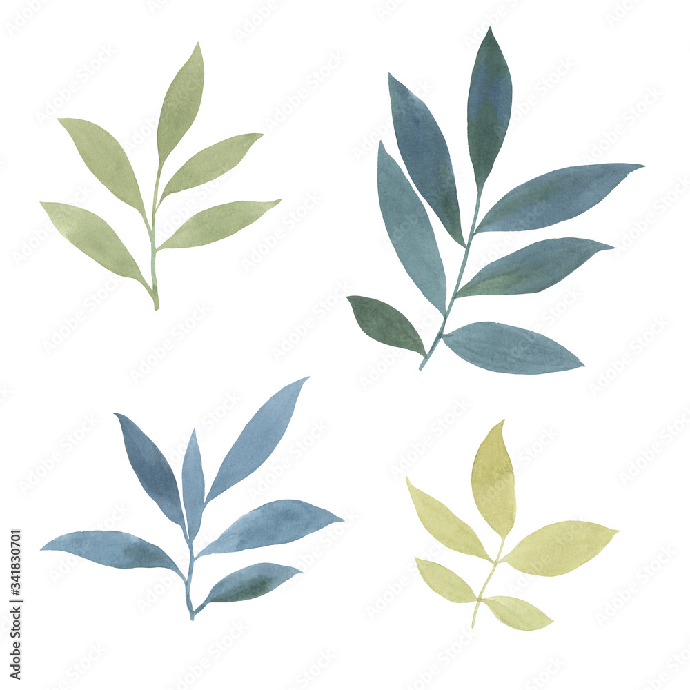 Set of painted watercolor leaves. isolated leaves on a white background. Watercolor leaves for printing, packaging, cards. botanical elements