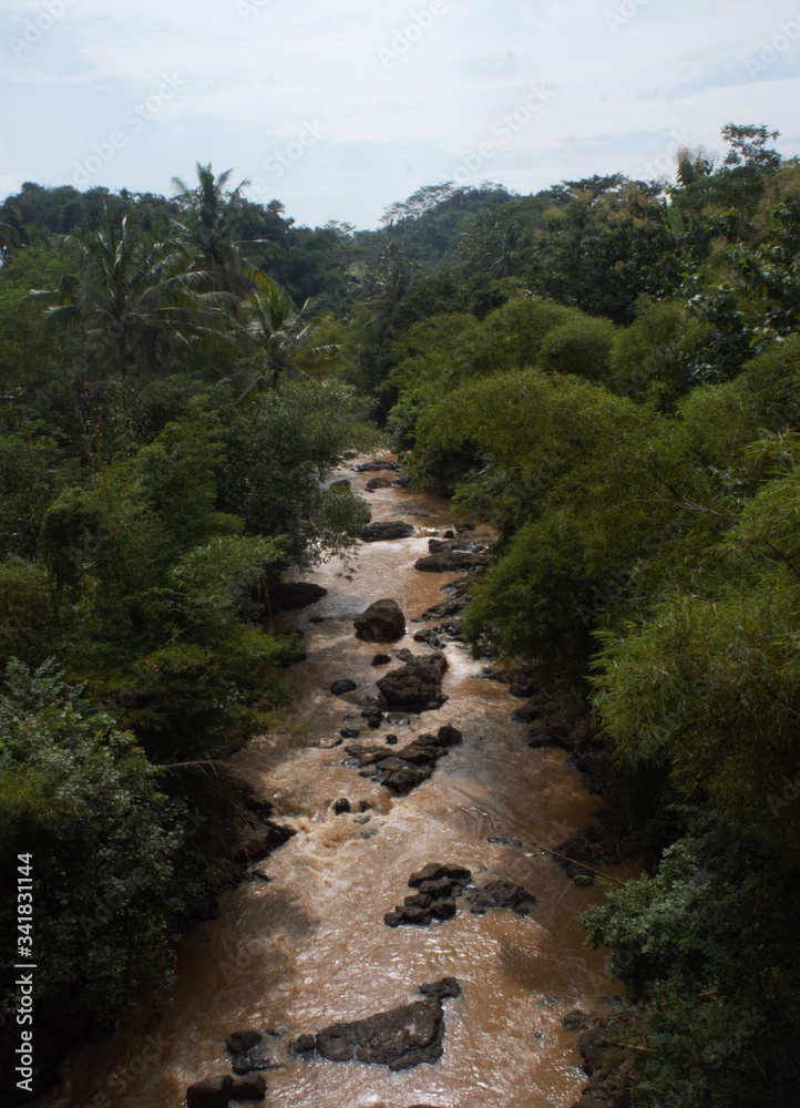 river in the forest at noon. Progo river in central java, indonesia river in the forest at noon. Progo river in central java, indonesia
