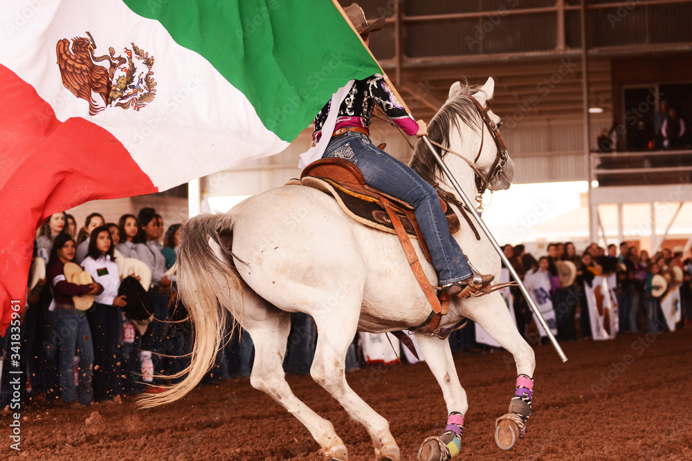 Bandera de México, bandera, Honores a la bandera, rodeo, caballo