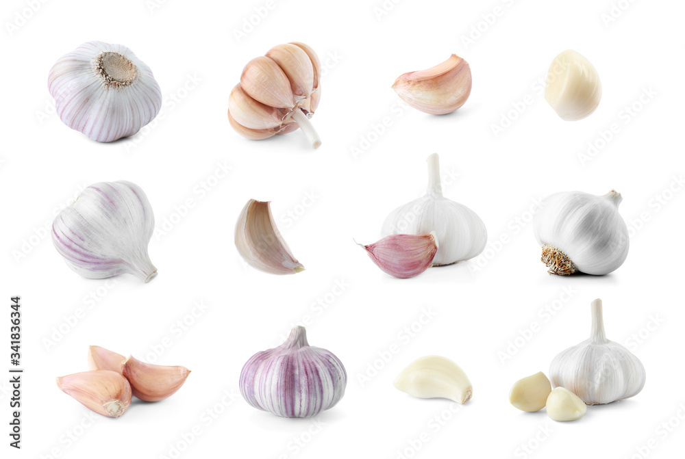 Set of fresh garlic on white background