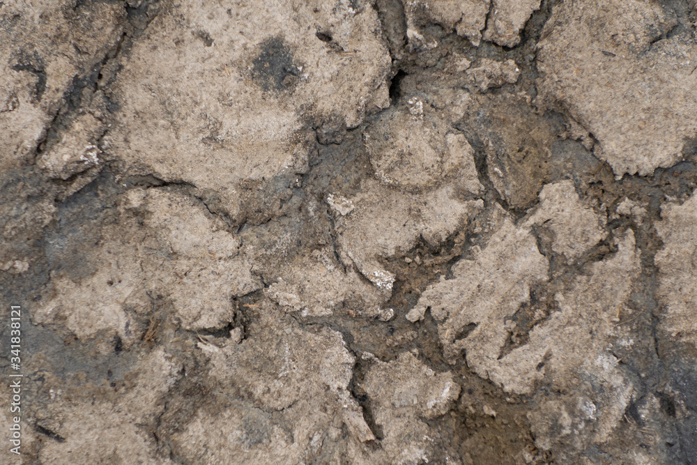 Cracked dried soil. The effects of global warming. Cracked dried soil. The effects of global warming.