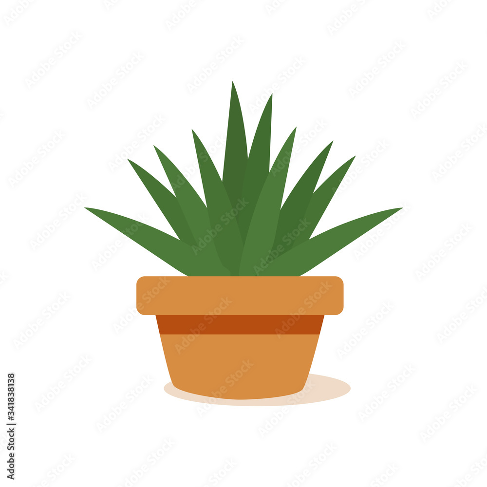 Isolated cactus icon Isolated cactus icon