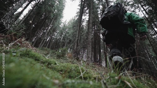 Legs of man walking along trail in forest. Сamera follows from a low point. Rear view. Stabilized footage photo