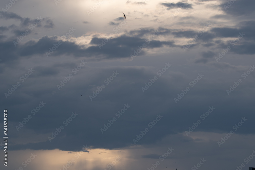 Fototapeta premium Un magnifique coucher de soleil 