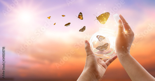 Foto The girl frees the butterfly from the jar, golden blue moment Concept of freedom