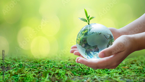 Fototapeta Naklejka Na Ścianę i Meble -  Adults are sending the world to babies. Concept day earth Save the world save environment The world is in the grass of the green bokeh background