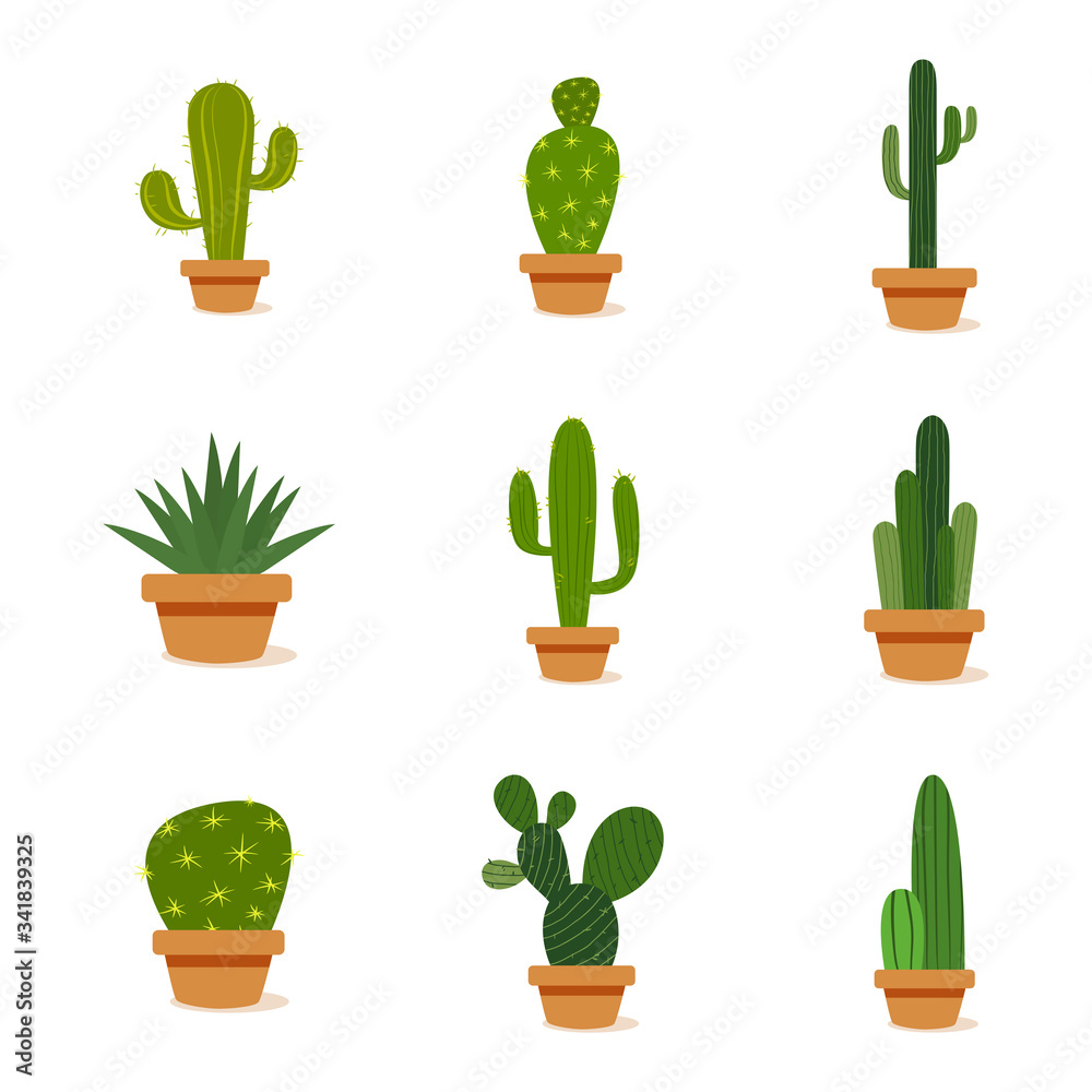 Set of cactus in a potplants Set of cactus in a potplants