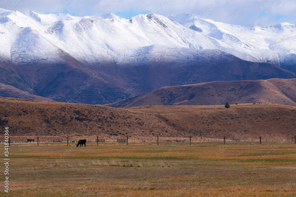 Φωτογραφία Beautiful nature near Twizel, New Zealand, South Island, Ohau Range