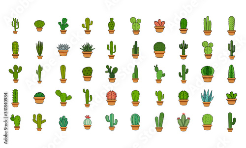 Set of cactus in a potplants © DAVIDS