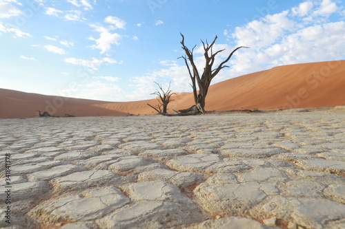 Namibia Africa