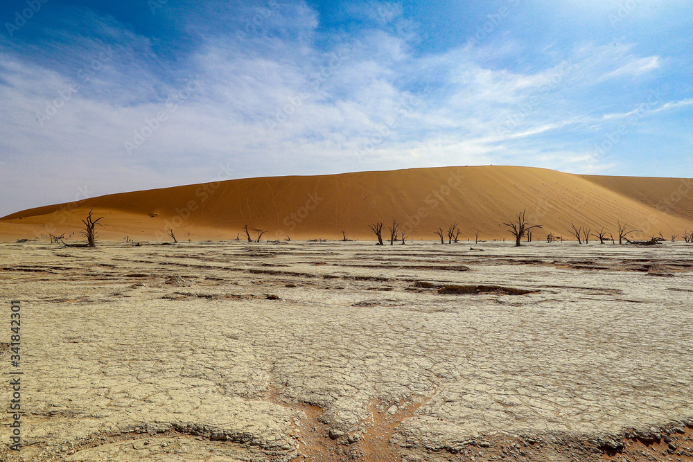 Obraz premium Namibia Africa