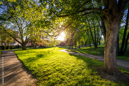 Photography Spring view in Letna Park, Prague, Czech Republic