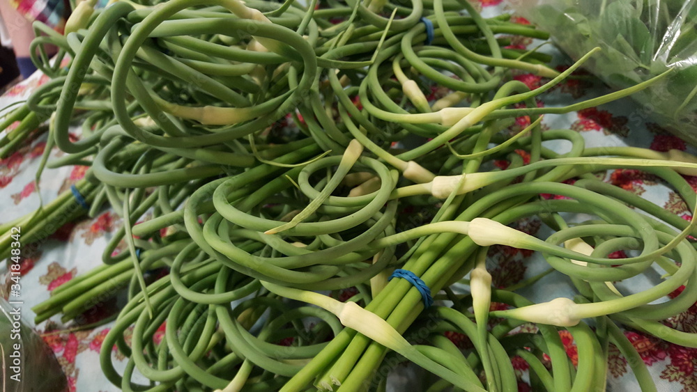 fresh garlic scapes at the market fresh garlic scapes at the market
