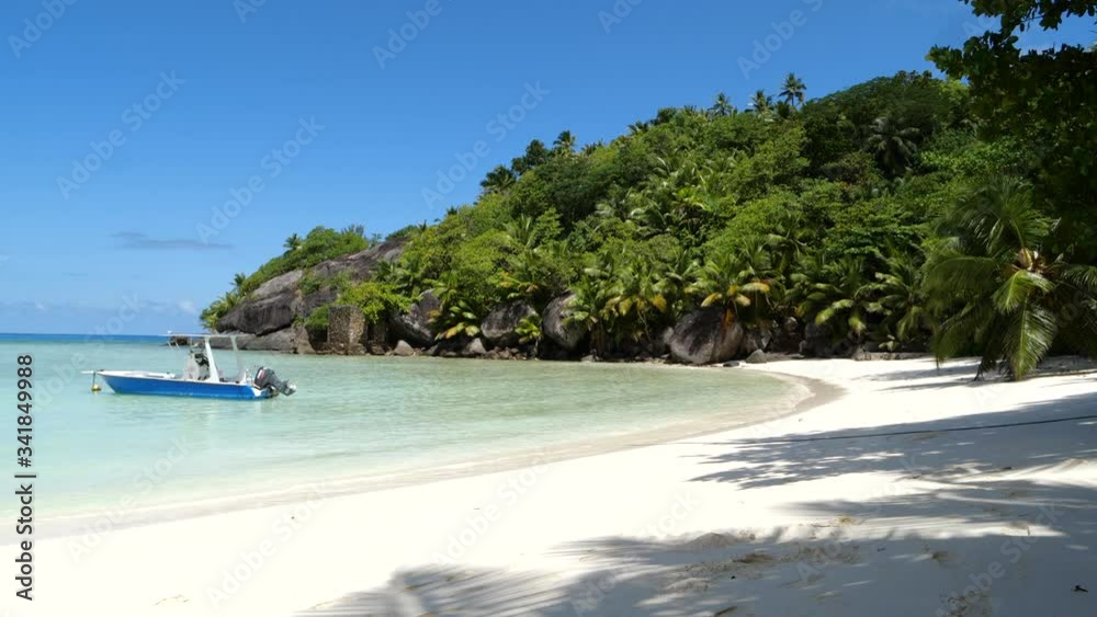 Palm trees and moored boat on beautiful beach Palm trees and moored boat on beautiful beach