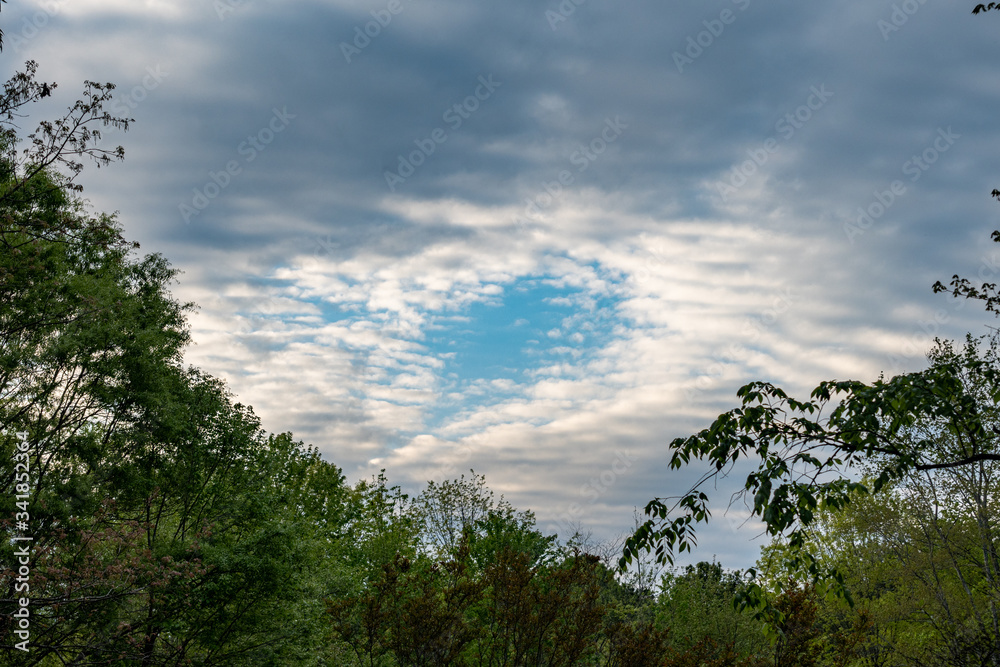 Fototapeta premium Blue Skies
