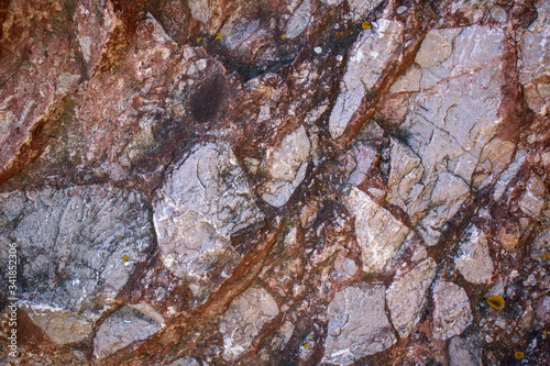 Rocky wall for the backdrop. Rough surface with inclusions and inhomogeneities. Primary colors - Spoke and gray. Concept of geology, fossil.