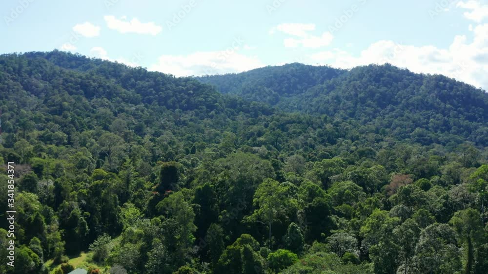Aerial Drone image of stunning beautiful deep Rainforest Jungle of Borneo island. Aerial Drone image of stunning beautiful deep Rainforest Jungle of Borneo island.