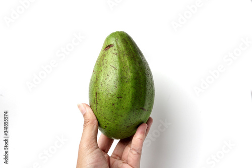 Avocado fruit "Persea americana" fresh green isolated on white grab by hand