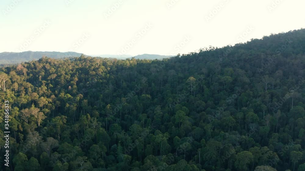 Aerial Drone image of stunning beautiful deep Rainforest Jungle of Borneo island. Aerial Drone image of stunning beautiful deep Rainforest Jungle of Borneo island.