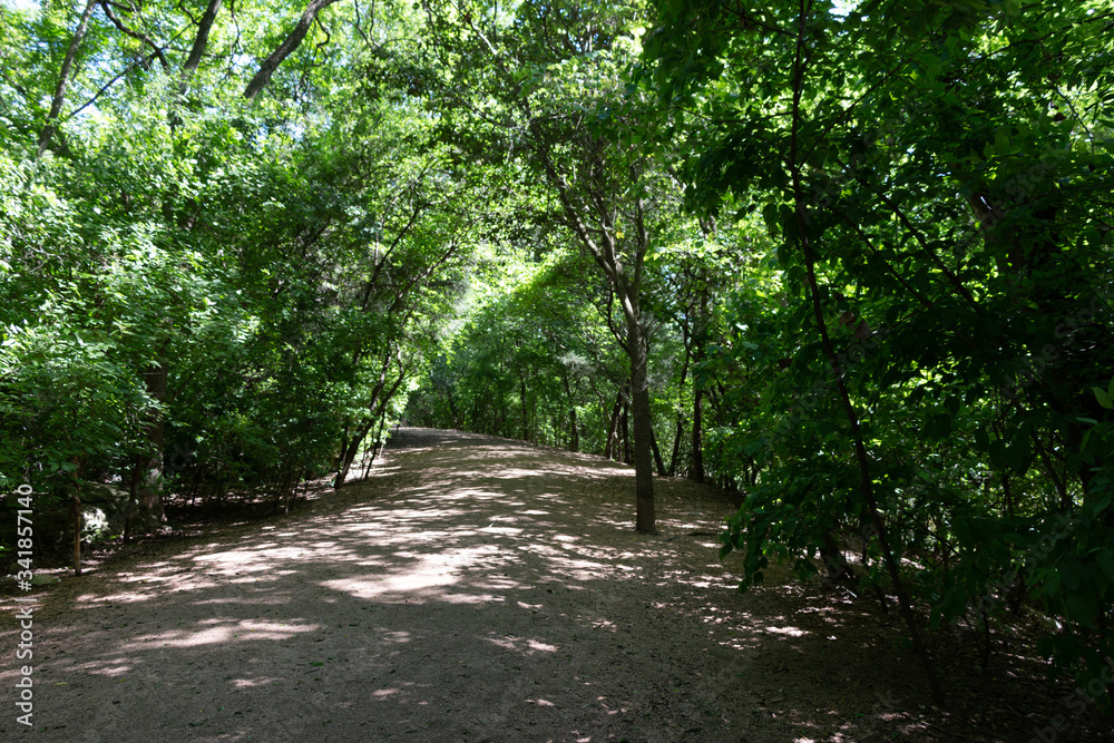 Red Bud Isle Park Trail Austin Texas Red Bud Isle Park Trail Austin Texas