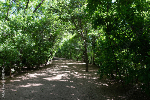 Red Bud Isle Park Trail Austin Texas