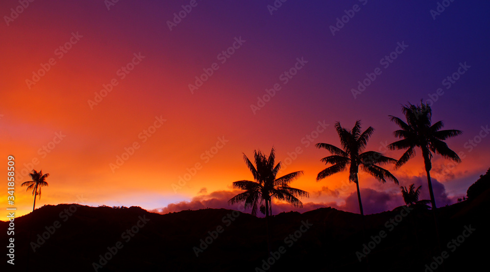 Sunset in tropico 2